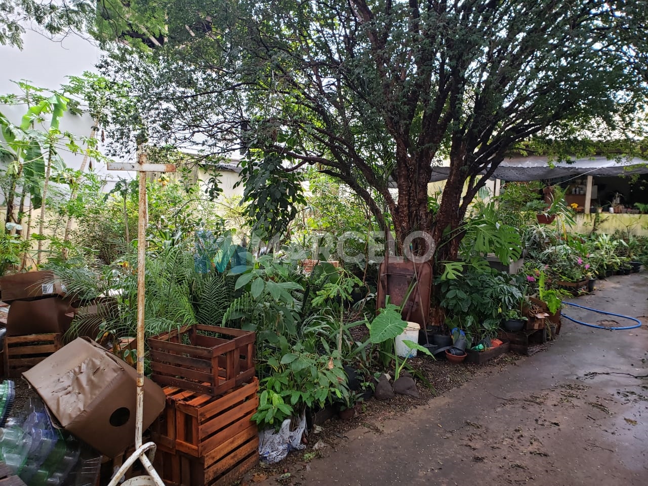 Casa à venda 160.75m² Zona II Rua Dr. Camargo nº 4366 Zona II Umuarama PR Marcelo