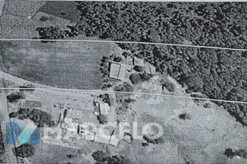 Chácara 0m Toledo-PR 596