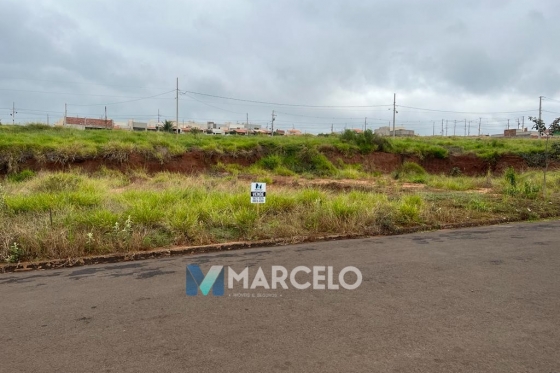 Terreno 157.9m Umuarama-PR 351